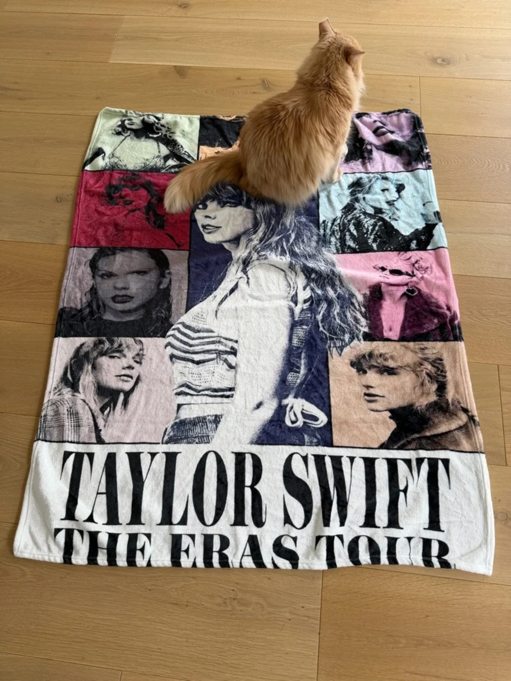 Taylor Swift  Collage Graphic Blanket /  tapestry - The Eras Tour 40 X 50